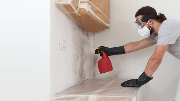 Professional Bathroom Mold Removal technician working in Preston, TX