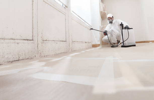 24/7 Emergency Bathroom Mold Removal experts in Preston, TX