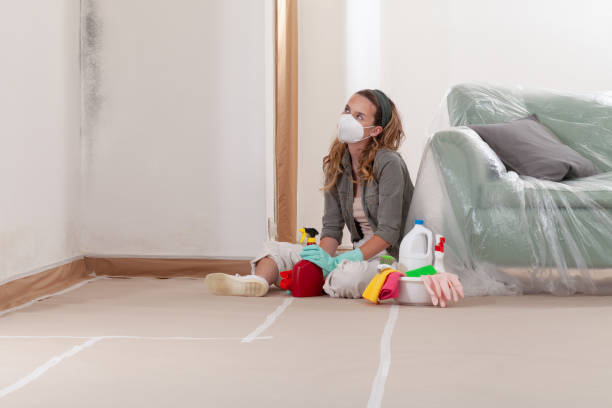 Reliable Bathroom Mold Removal contractor in Preston, TX by 24 Hour Mold Removal